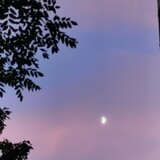 moonbbing