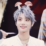 himrkoala