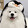 mengchongxingqiliu