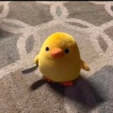 Trinh Phượng_0087