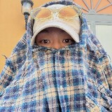 t8dabaobei