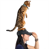 jjjjjyyyyyyyyyyyyyyy