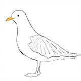 zaixiazhangjin