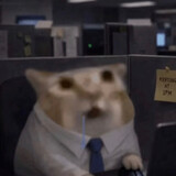 ainacat