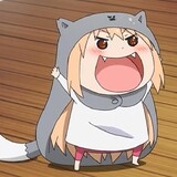 jingluo___nanbei