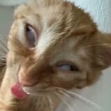 mamibb_02