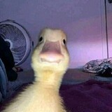 WhySoSpicy