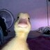WhySoSpicy