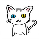 fengyudebi___iaoliao