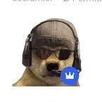 D-O-G-E