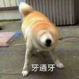 wudidalaofan