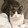 yizhixiaoming-
