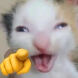 benwibumelon