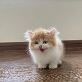 daodaoshizhi___m