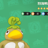 mianmaguanzhong07