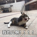 yizhishouruodecha