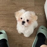 yuzibaobaobaobao