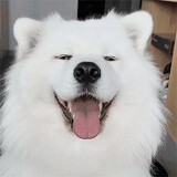 wsychenfeng