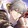 Caelus_id