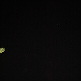 lilishan1