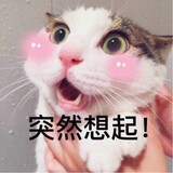 ____pingping