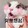 ____pingping