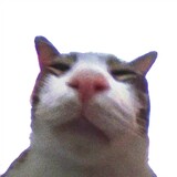 miaocengqi_________