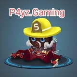 P4yz.Gaming