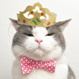 pandoras_vault_03_02