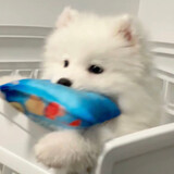 ye___aniangao