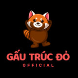 gấu trúc đỏ official