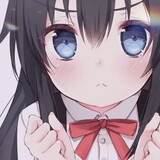xiaoqiqvq