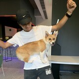 qingnianrenyingshi