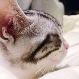 liuxiaosong_