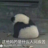 zheguoxu