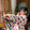 xiegongshi