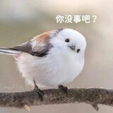 guanyihuazhiming