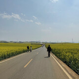 huhudashui878