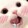 wodetui___shib___i