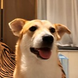 ___chiko_05