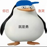 pvzxiaoyong