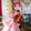 bili_1142529601
