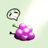 shadiaozhu____o