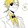 baoshengyongmeng-