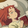 mary ivyred