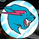 Mr Beast fan23