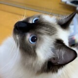 yudu3