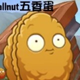 wallnutjianguo