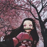 kimetsu no yaiba.