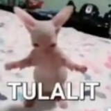 yui.icikiwirr